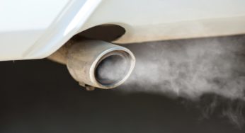 Contra o aquecimento global